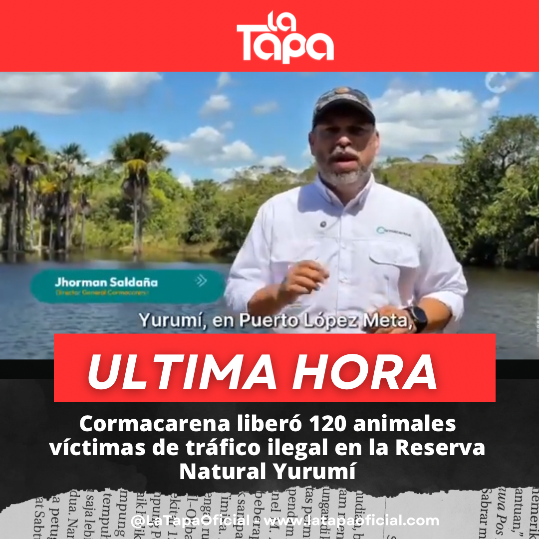 Copia de Portada La Tapa