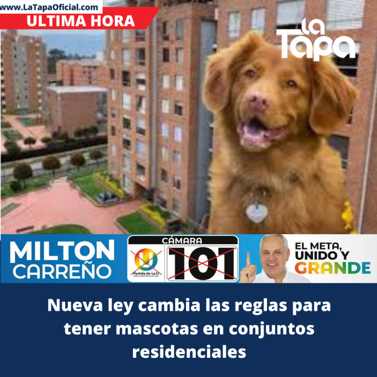 Copia de Portada La Tapa (64)