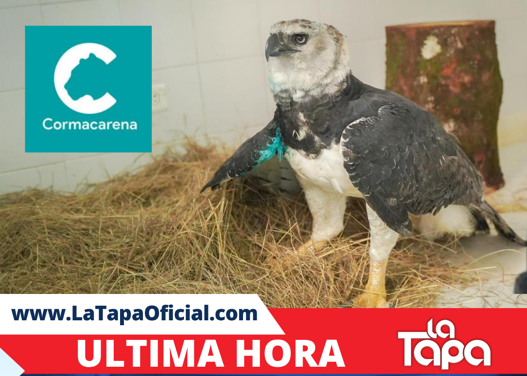 Copia de Portada La Tapa (19)