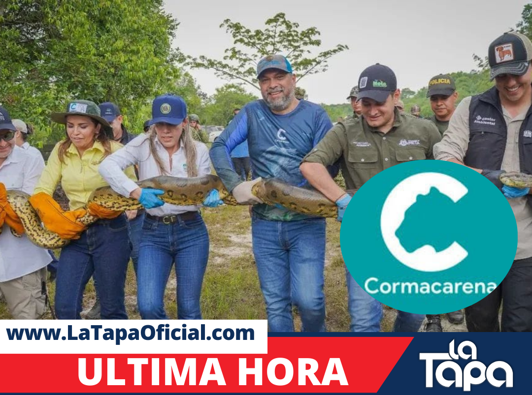 Copia de Portada La Tapa - 2026-03-14T214117.422