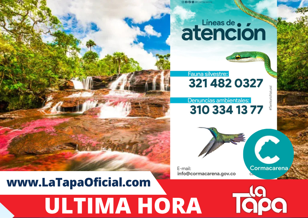 Copia de Portada La Tapa - 2026-03-29T100245.185