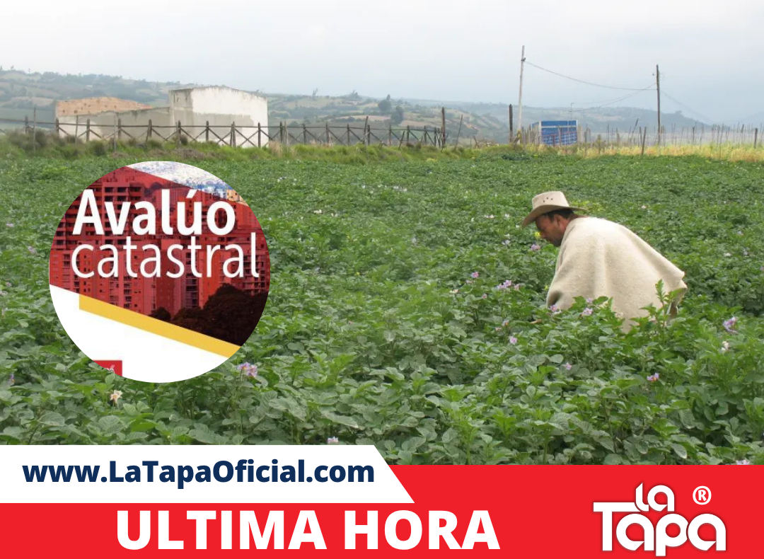 Copia de Portada La Tapa (63)