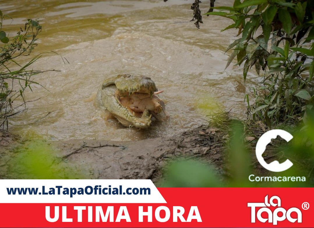 Copia de Portada La Tapa (83)