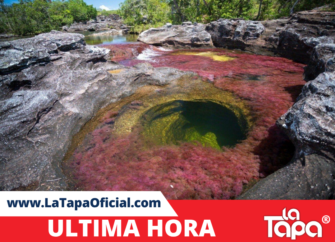 Copia de Portada La Tapa (92)